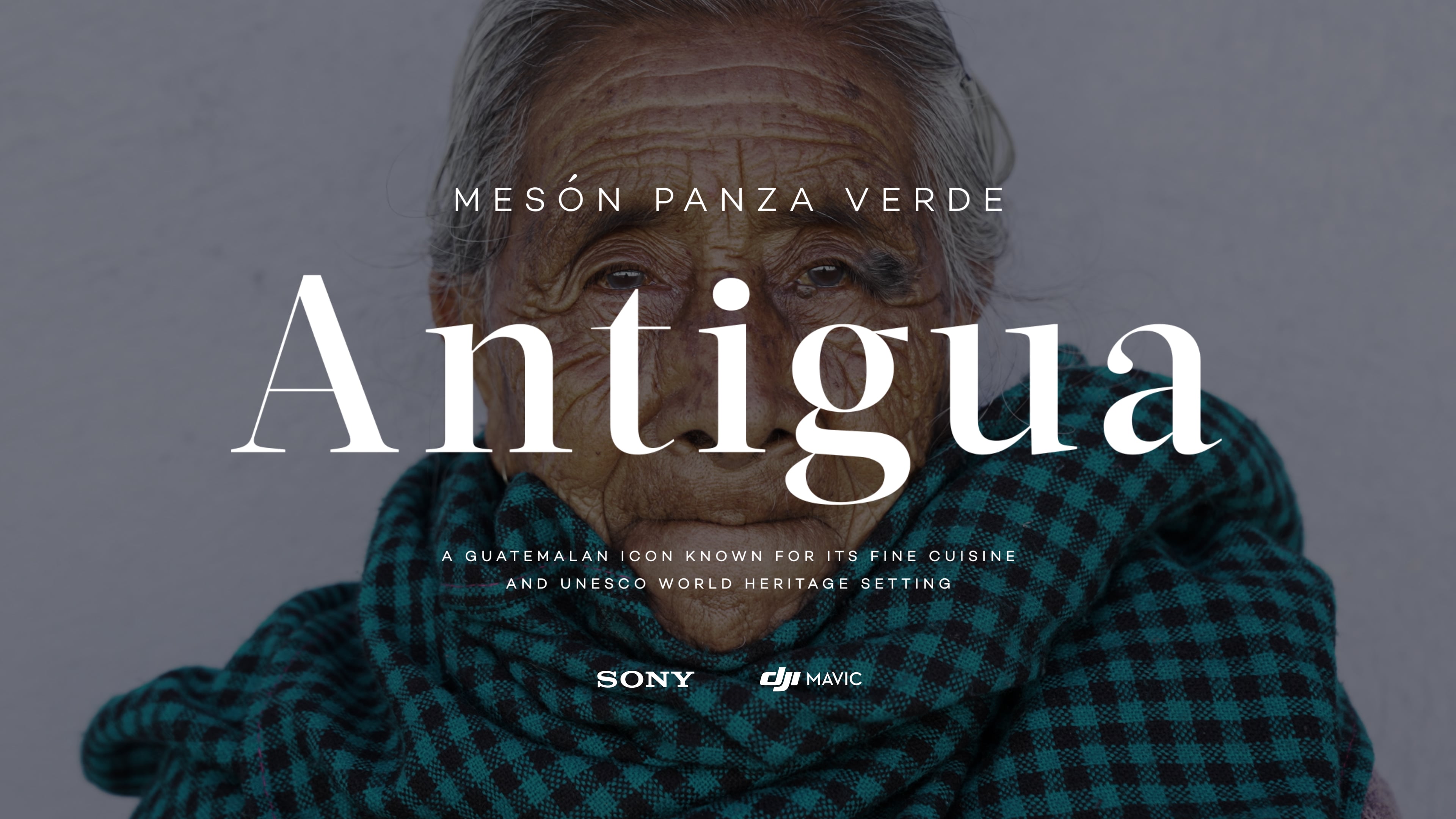 Mesón Panza Verde